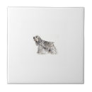 Recherche de cocker carreaux Chien