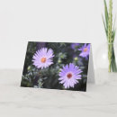 Zoek naar paardebloemen kaarten Tuin