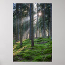 Zoek naar schwarzwald posters Baden wurttemberg
