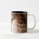 Recherche de boucherie tasses Animal