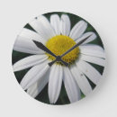 Zoek naar daisy klokken Petals