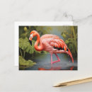 Zoek naar ai briefkaarten Wild