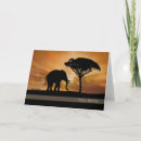 Zoek naar silhouet kaarten Zonsondergang