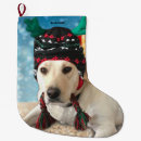 Recherche de labrador de noël chaussette de noël Mignon
