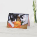 Recherche de minou mignon vœux cartes Doux
