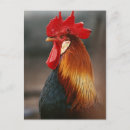 Recherche de grand format cartes postales Gros plan