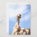 Recherche de babouin vœux cartes Drôle