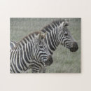 Zoek naar zebras puzzels Safari