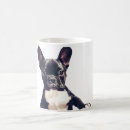 Recherche de chiot bouledogue français tasses Mignon