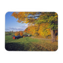 Zoek naar farm magneten Natuur