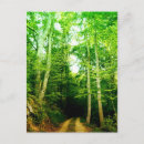 Recherche de chemin terre cartes postales Forêt