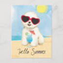 Zoek naar bichon frise briefkaarten Vakantie