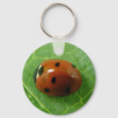 Recherche de coccinelle porteclés Louis