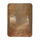 Recherche de cheminée magnets Paysage