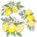 Recherche de méditerranée autocollants Floral