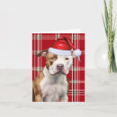 Recherche de de terrier noël cartes Chien