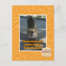 Recherche de rejet cartes postales Je peux avoir cheezburger