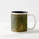 Recherche de reflet tasses Automne