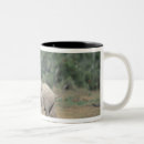 Recherche de public domain tasses Parc