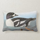 Zoek naar john kussens Vogels uit amerika