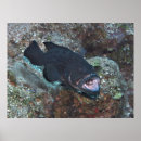 Recherche de nettoyage posters Nettoyeur