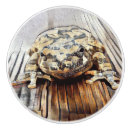 Recherche de grenouille mignonne boutons et poignées de porte Illustration