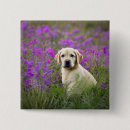 Recherche de chiot badges Fleurs