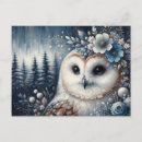 Zoek naar winter owl briefkaarten Vogel