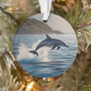 Zoek naar dolfijn oceaan ornamenten Ocean