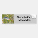 Recherche de faune voiture autocollants Bleu