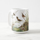 Recherche de roitelet tasses Faune