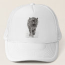 Recherche de loups casquettes Loup noir