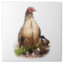 Recherche de poulet vintage carreaux Rétro