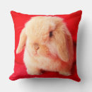 Zoek naar wormen kussens Met konijnen