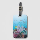 Recherche de plonger bagages étiquettes Plage