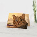 Recherche de merchbooth vœux cartes Chat