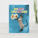 Recherche de chat siamois vœux cartes Animaux