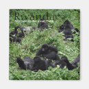 Recherche de gorilles magnets Primat