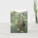 Recherche de pittoresque verticales anniversaire cartes Nature