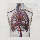 Recherche de coeur 3d cartes postales Complexe