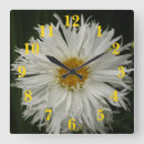 Recherche de fleur blanche horloges Pour tous