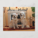 Recherche de golden retriever cartes postales Nouvelle maison