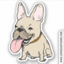 Recherche de frenchie mignon Effronté