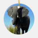 Recherche de éléphant ornements Safari