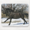 Recherche de chevaux sauvages mustang tapis souris Équestre