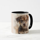 Recherche de woof tasses Dog