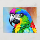 Recherche de peinture perroquet cartes postales Animal