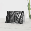 Recherche de qui 1966 photographie Photos