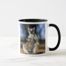 Zoek naar lemur mokken Schattig