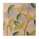 Recherche de arrière plan vert carreaux Brun